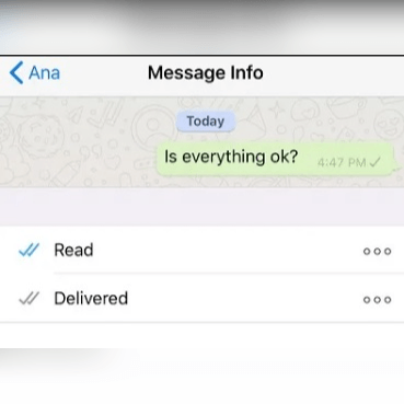 WhatsApp checkmark meaning iPhone Android